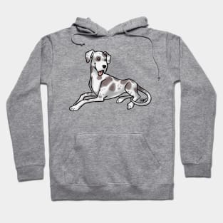 Dog - Great Dane - Harlequin Natural Ears Hoodie